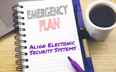 Emergency Preparedness And Electronic Security Systems